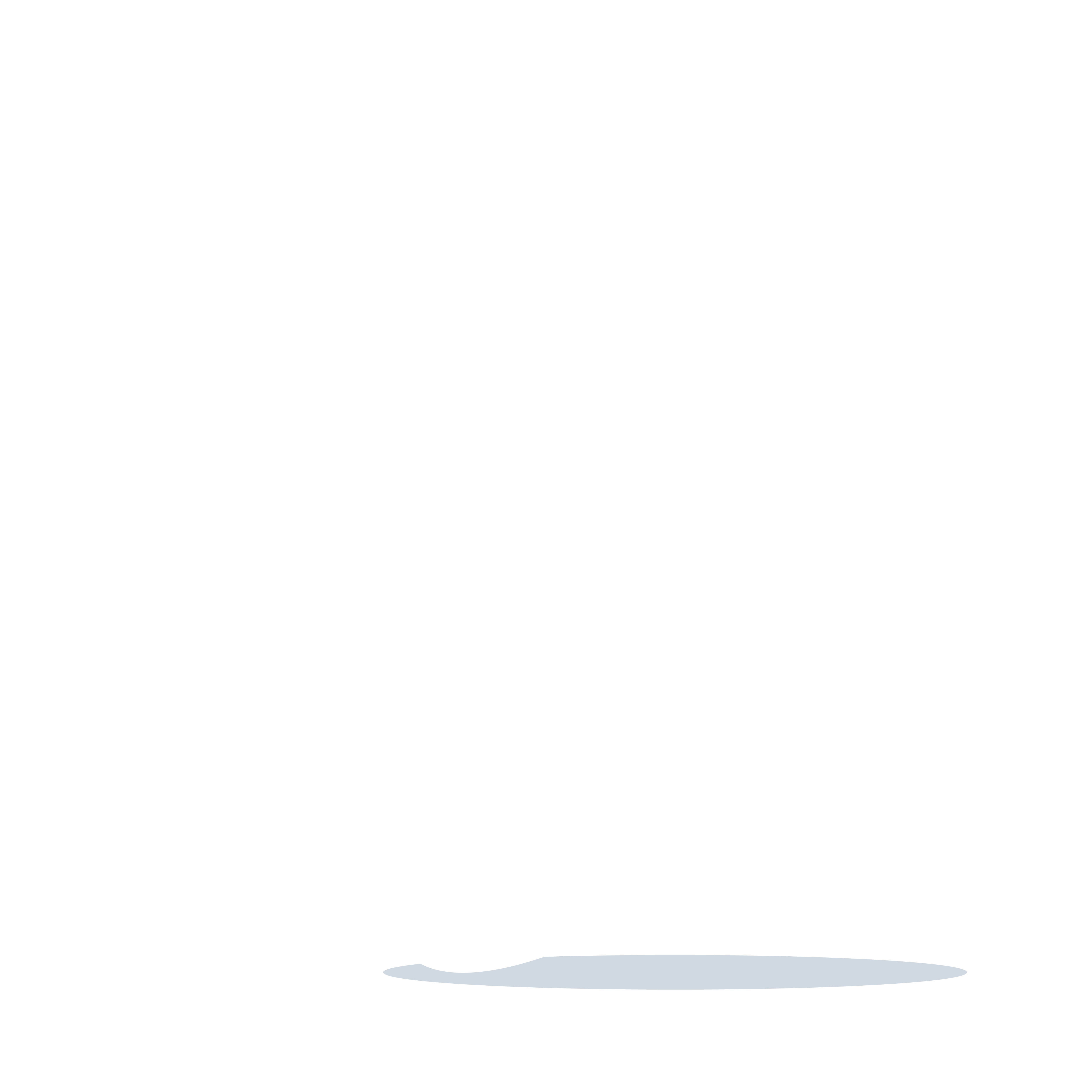 ENT Insight Logo